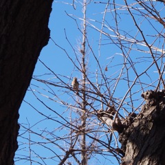 外苑　陽だまり 3