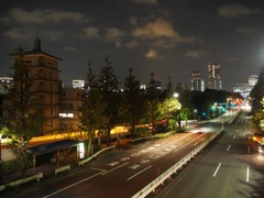 帰り道　歩道橋より