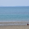 夏の思い出