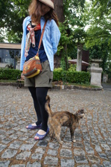 旅人と猫