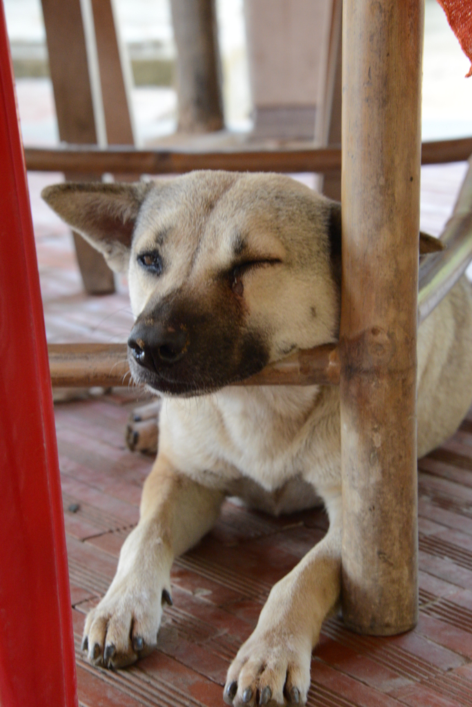 むにゃむにゃ２