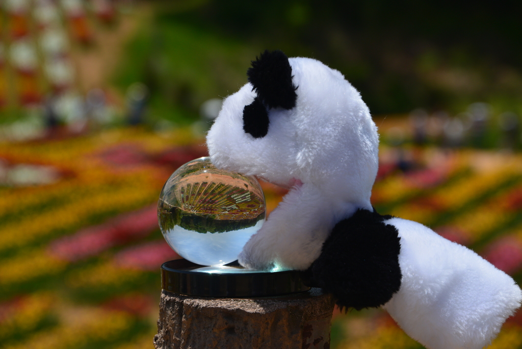 ぱ・ん・だ！！2