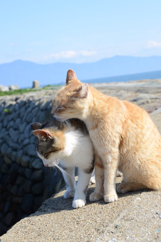 いつも一緒だよ