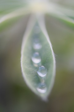 雨上がり