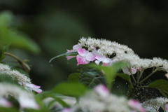 ＭＴテスト中５