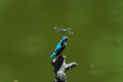 何しに来た？３