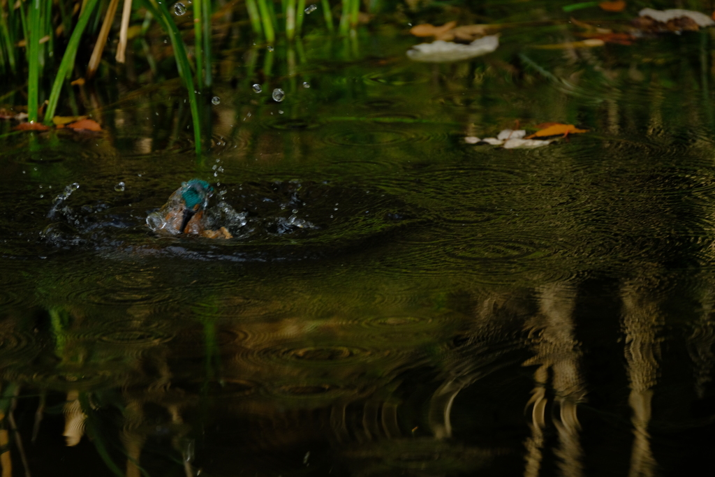 更新ファームウエアの成果２