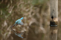 これより潜航します。