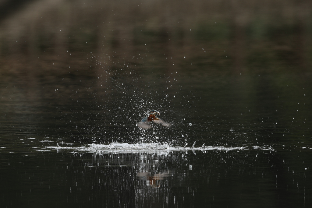 シャッタースピード1/320秒１