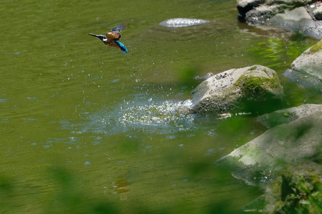 もう少し追い込めば２