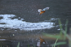 ギックリ上りは此処まで