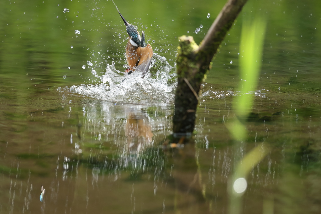 新兵器のパワー見よ１