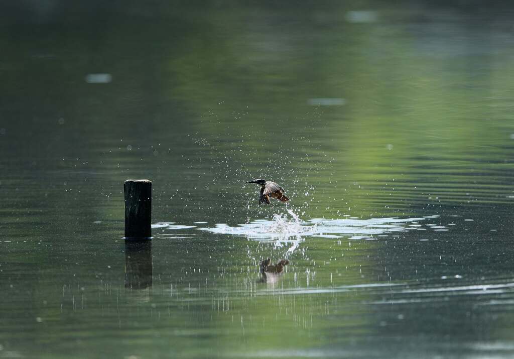 別角度の水がらみ