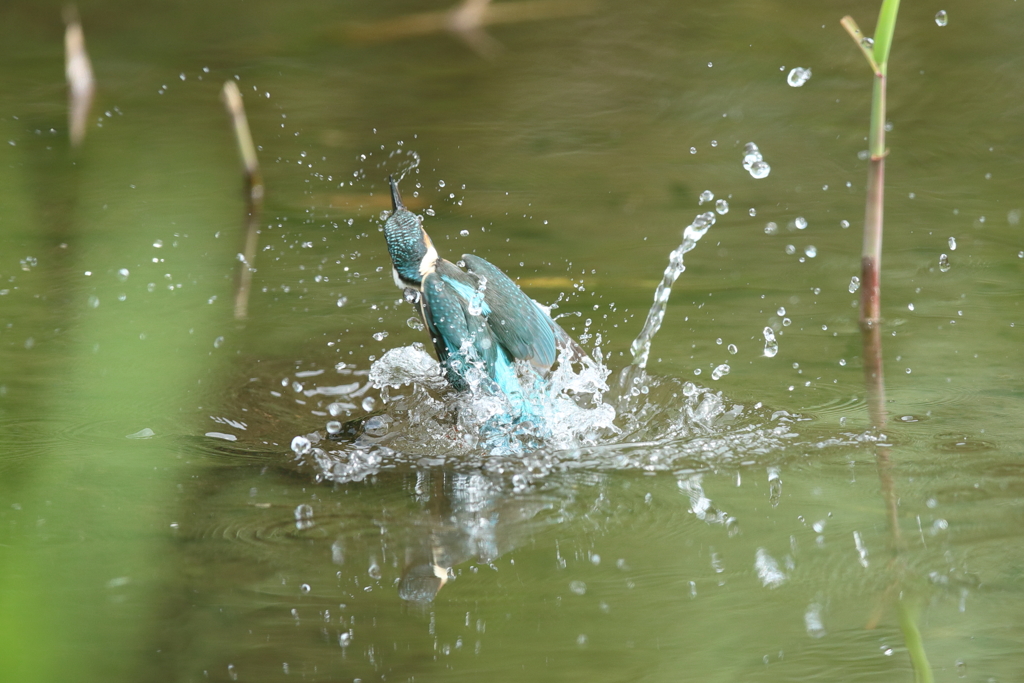手持ち６連射⓵