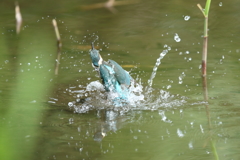 手持ち６連射⓵