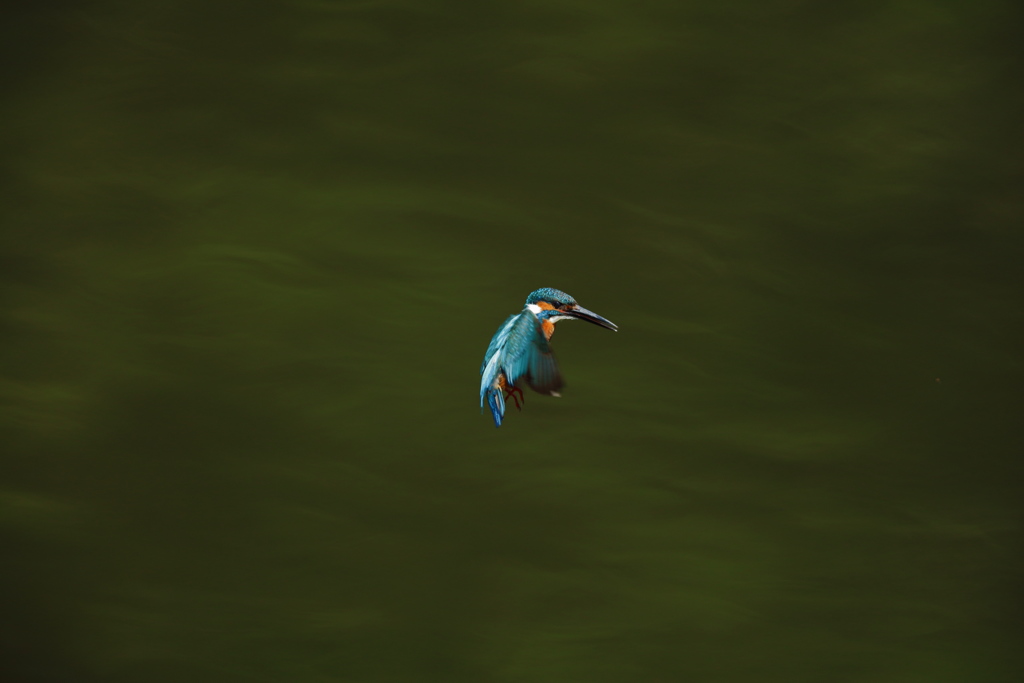 秒間５枚の不幸３