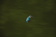 秒間５枚の不幸３