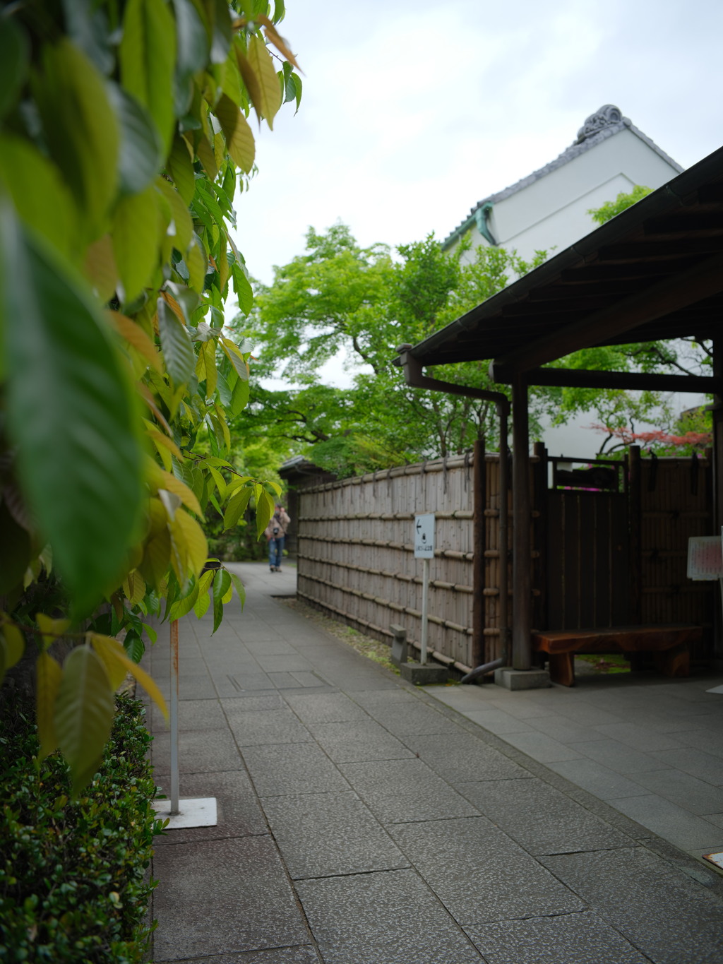 葛飾山本亭