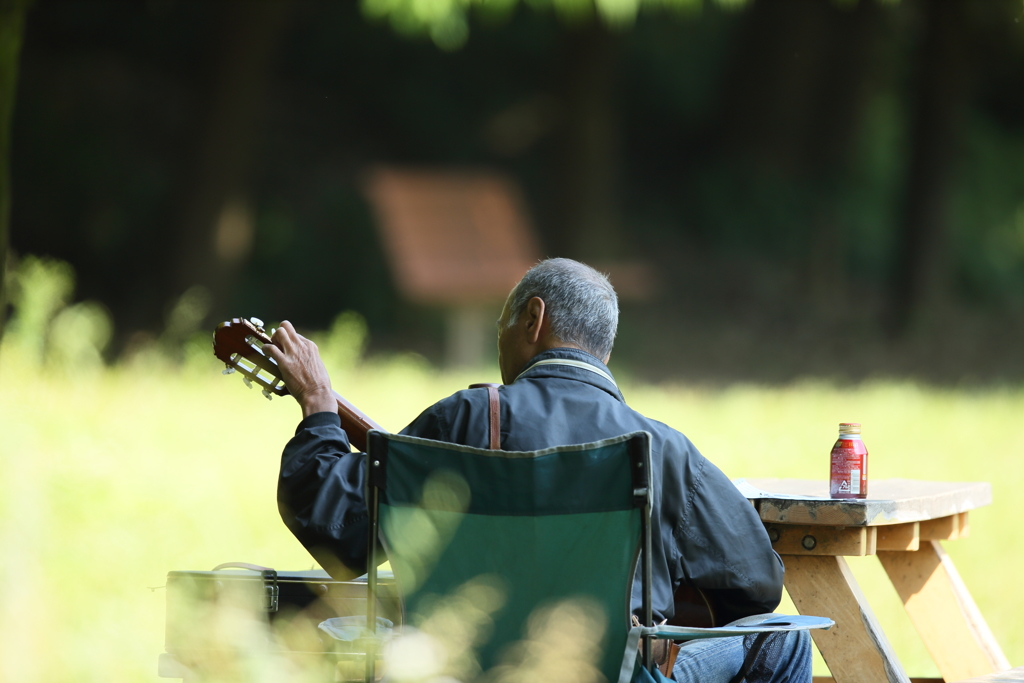 カワセミよりギター？