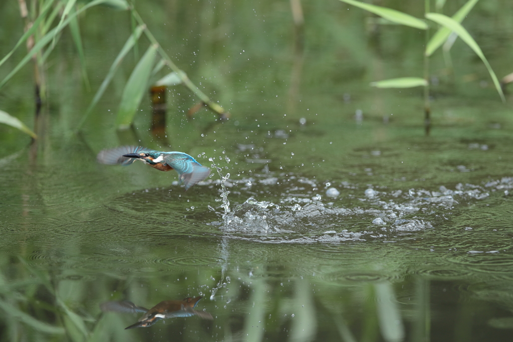 久々の１Ｄｍ２⓶