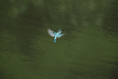 近くのホバはＢ面