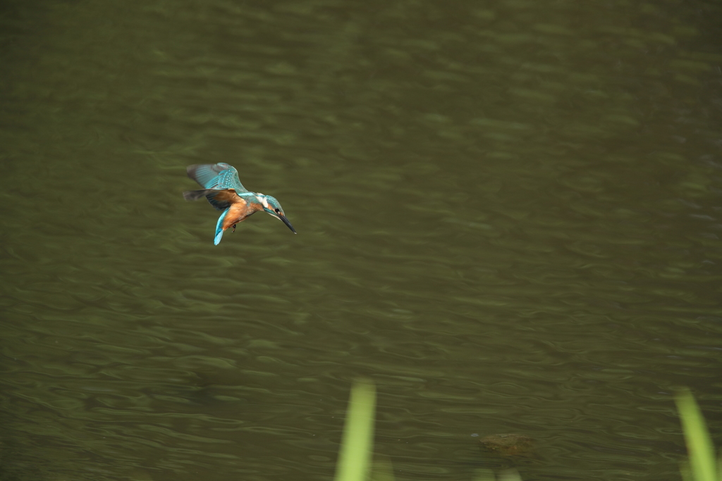 ターゲットロックオン１