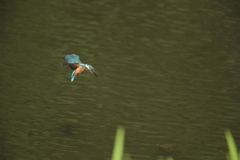 ターゲットロックオン１