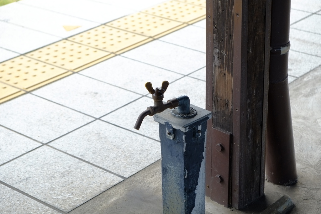 今週末？