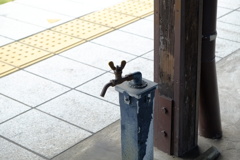 今週末？