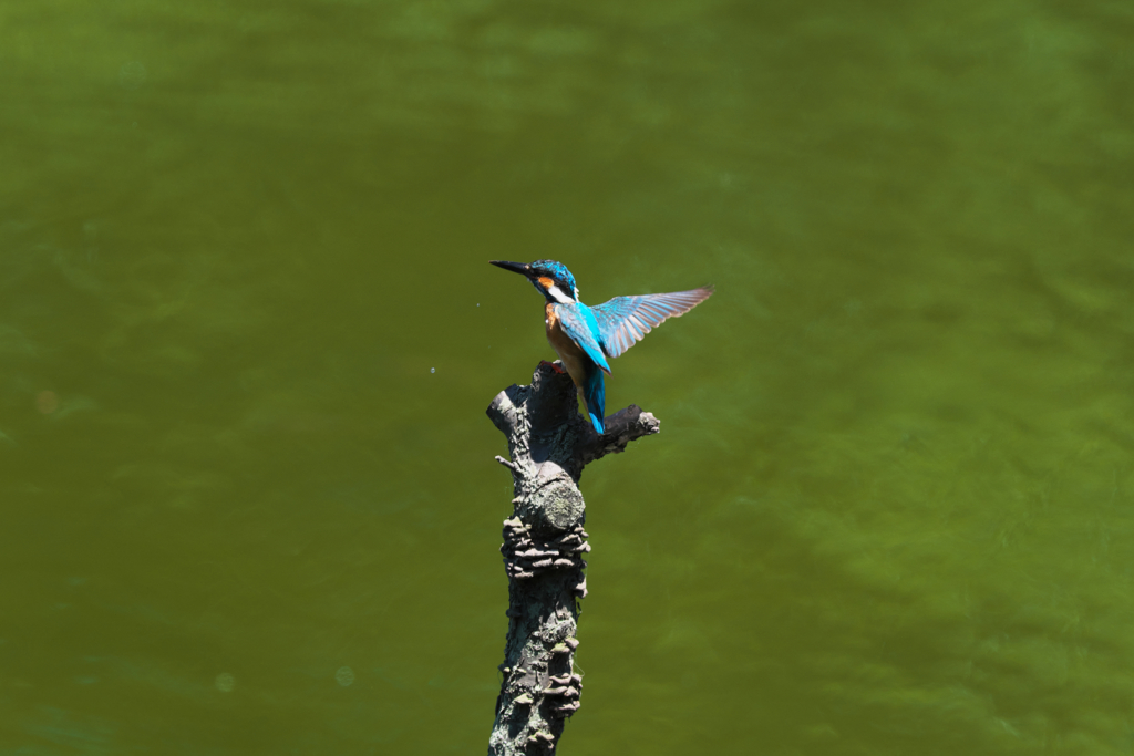 タッチダウン３