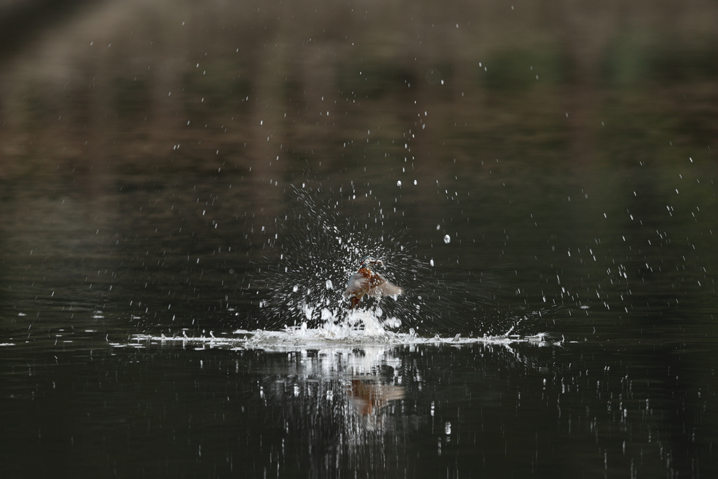 ホバモードのまま飛び込みは