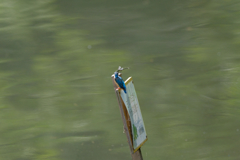 今日は仲良し？