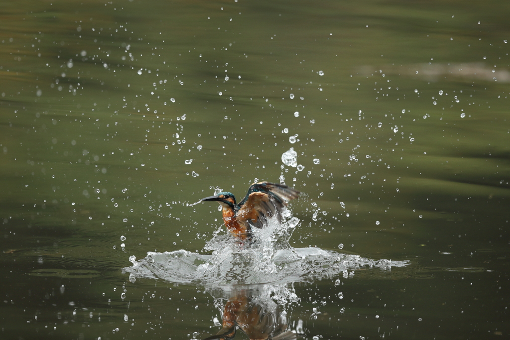 久しぶりの水がらみ１