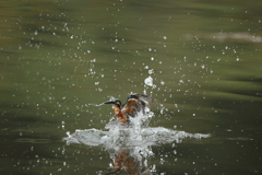 久しぶりの水がらみ1