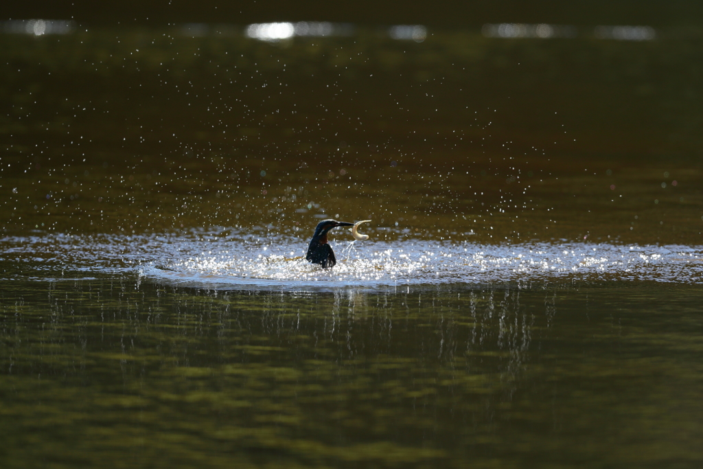 もう一度上げるぞ