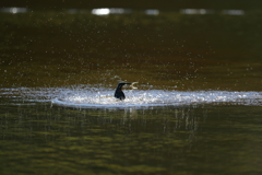 もう一度上げるぞ