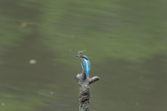 今日も留まるの？３