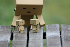 ダンボで被写体深度