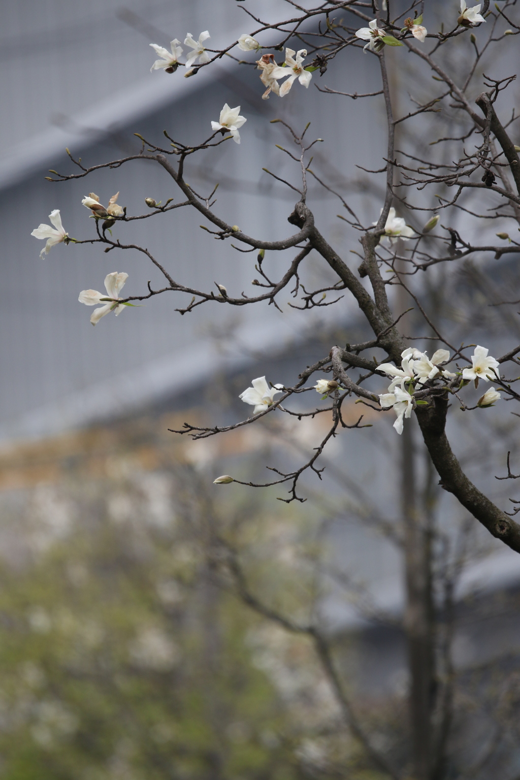 Σ１００－４００④