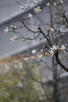 Σ１００－４００④