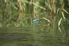 久々の１Ｄｍ２④