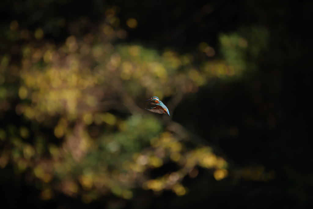 秒間6.5の不幸３