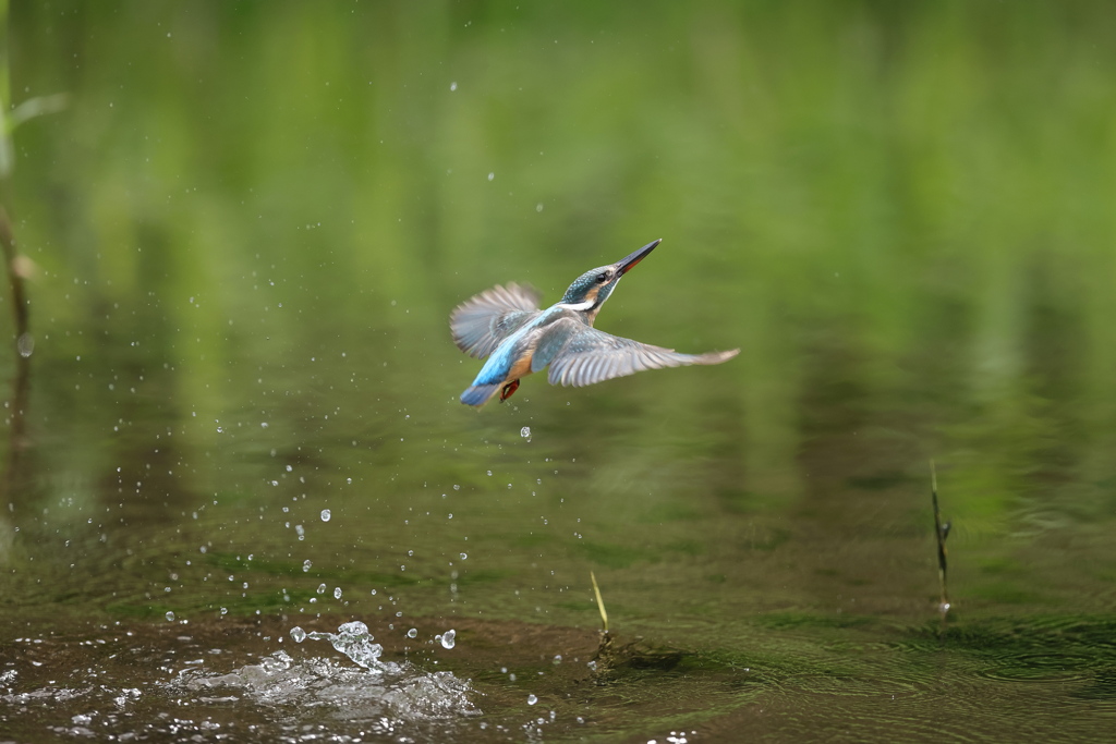 秒間16枚を見よ６