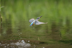 秒間16枚を見よ６