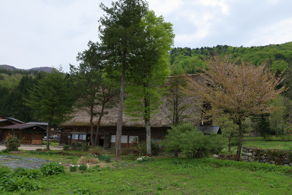山里の春４