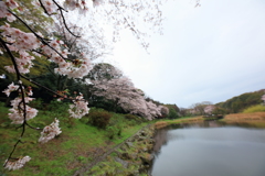 晴れ間がほしい・・