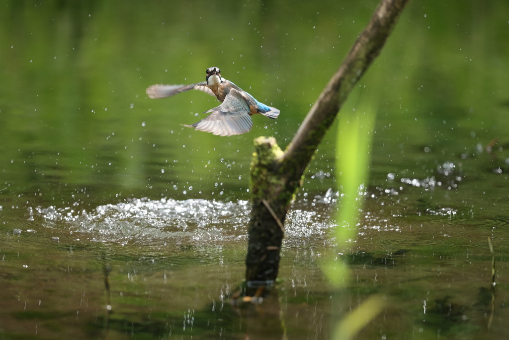 新兵器のパワー見よ４