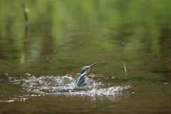 秒間16枚を見よ３