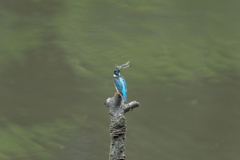 今日も留まるの？１