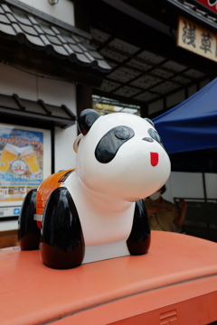 パンダ君